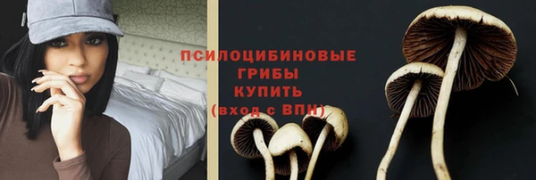 молекула духа Балабаново