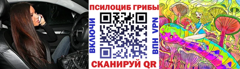 Псилоцибиновые грибы Cubensis  хочу   Котельниково 